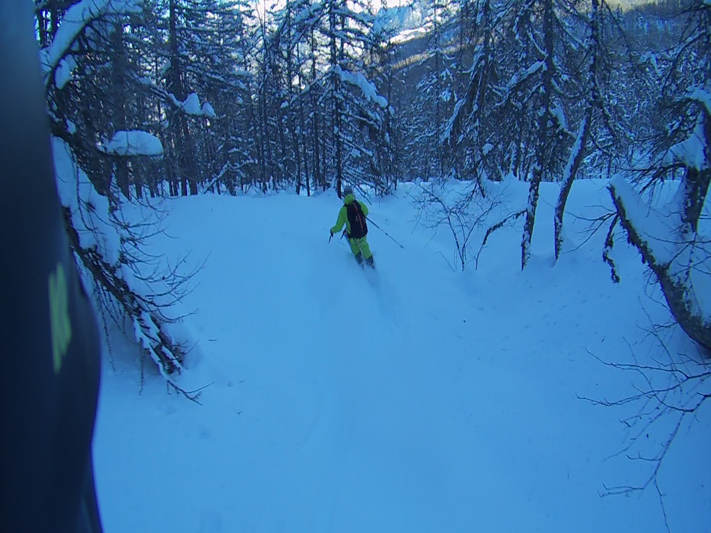 hors pistes du domaine de la forêt blanche