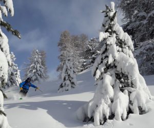 session freeride vars risoul la forêt blanche