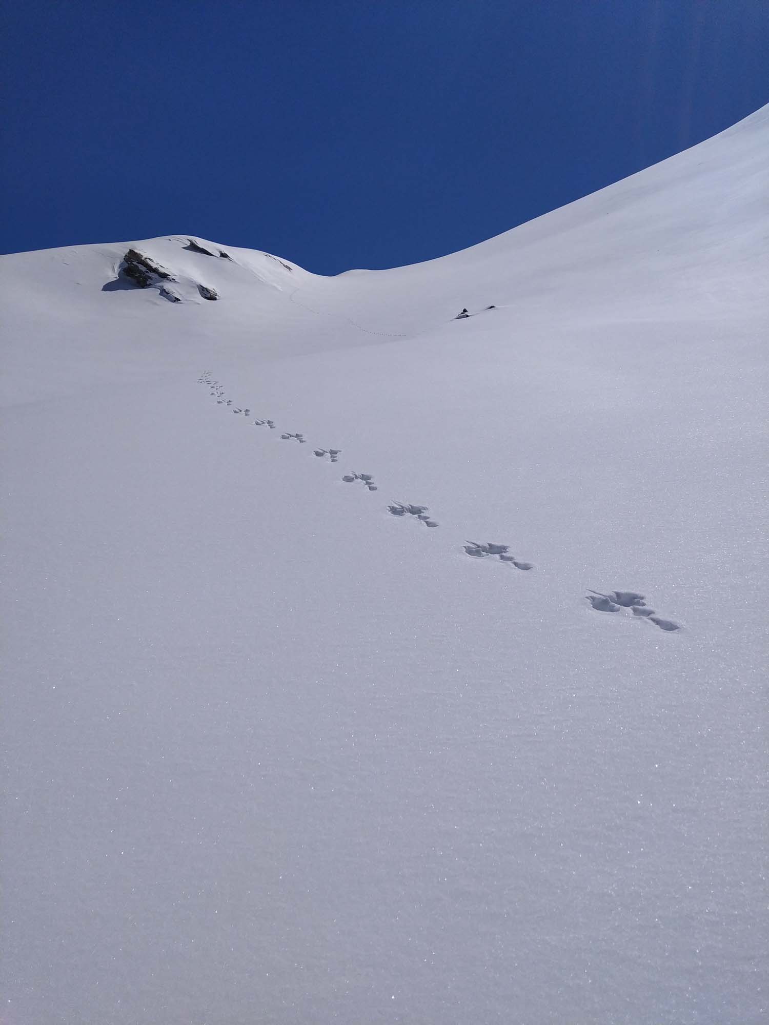 Cascade-glace-risoul