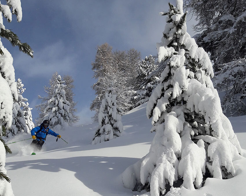 5 jours hors piste et freerando autour de Vars et de Risoul Vars, Risoul, Montgenèvre, Puy saint Vincent, Abriès, Molines saint Véran…