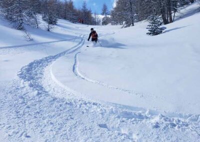 Stage 3 jours perfectionnement ski technique toutes neiges